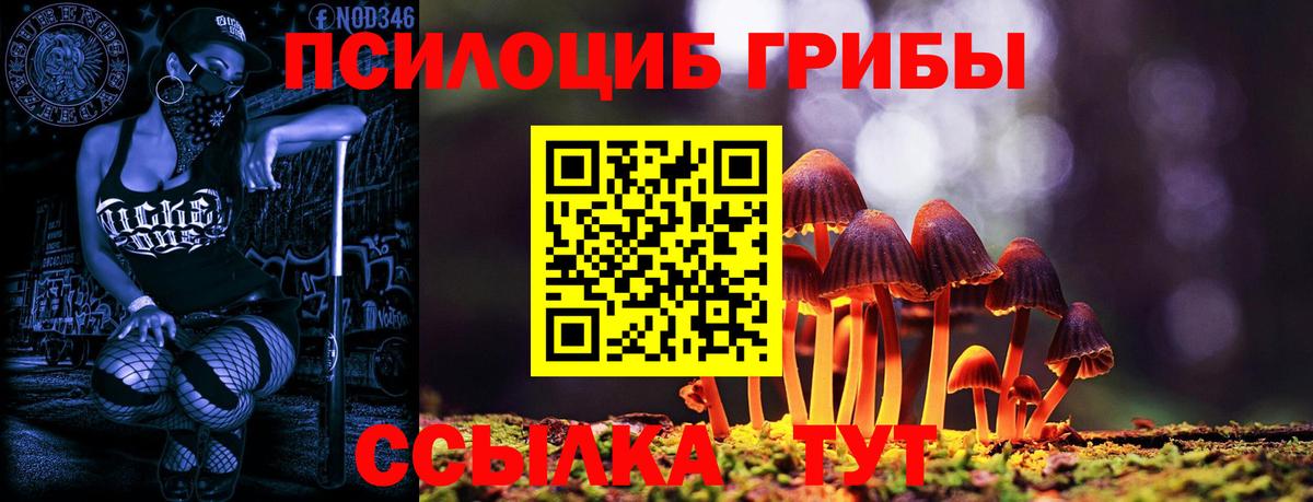 Галлюциногенные грибы Psilocybine cubensis Сердобск